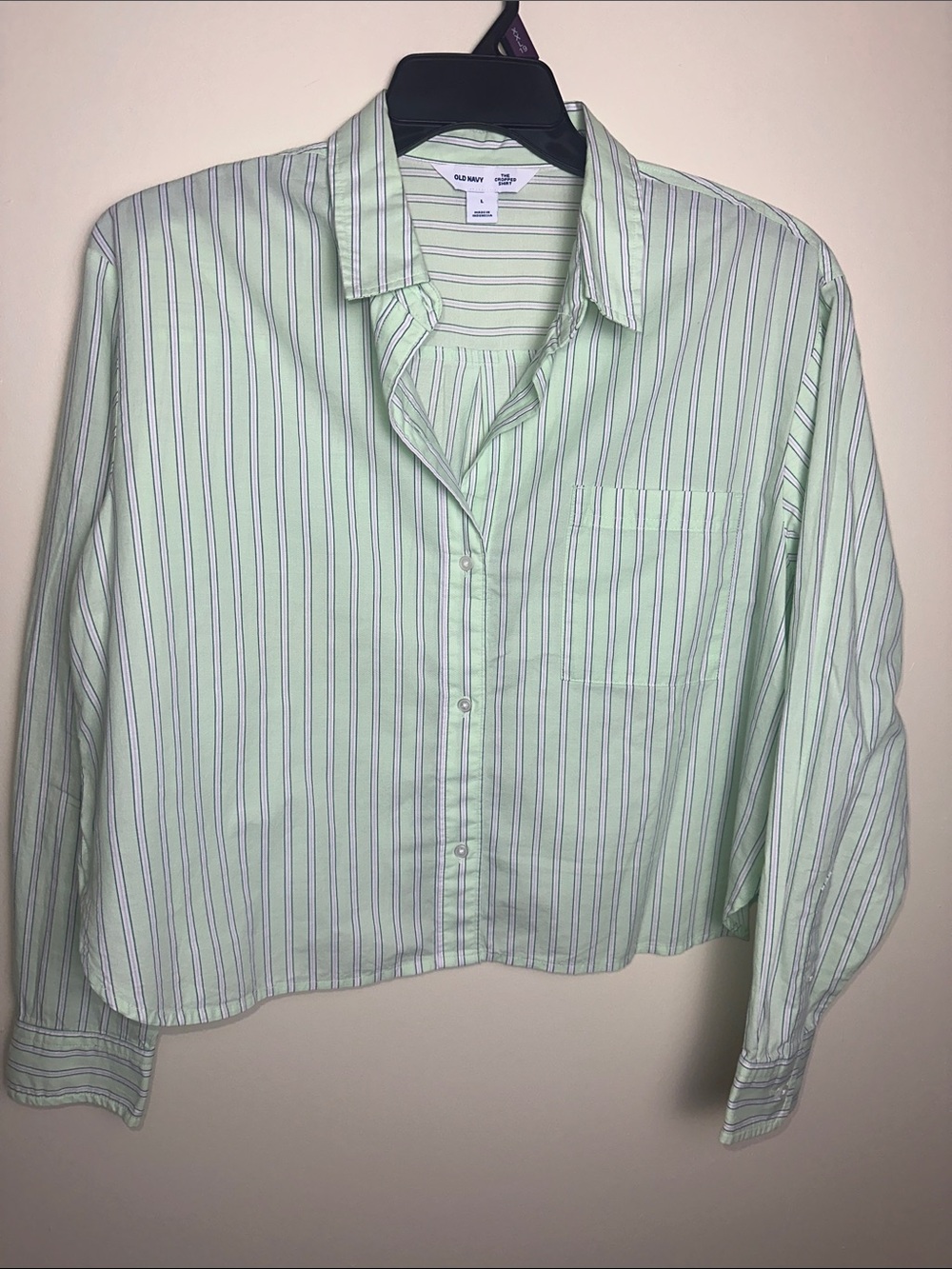 Old Navy Light Green & Lavender Striped Button-Down Shirt Size Large